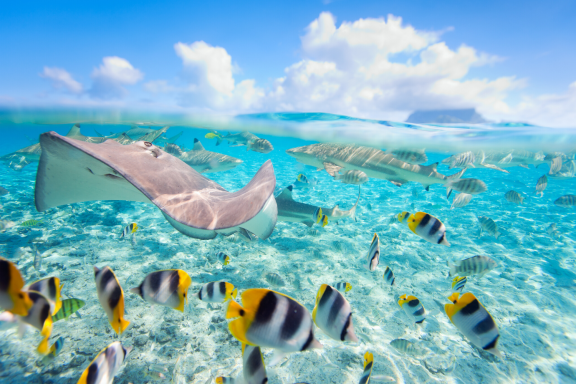 Day 1 of our Journey of Renewal to Tahiti: Vahine Private Island 