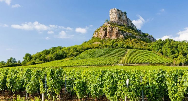 Decanting Burgundy and Beaujolais, by Art in Voyage
