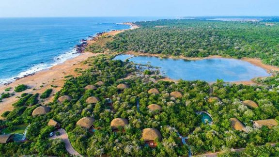 Tropical Beaches & Leopards