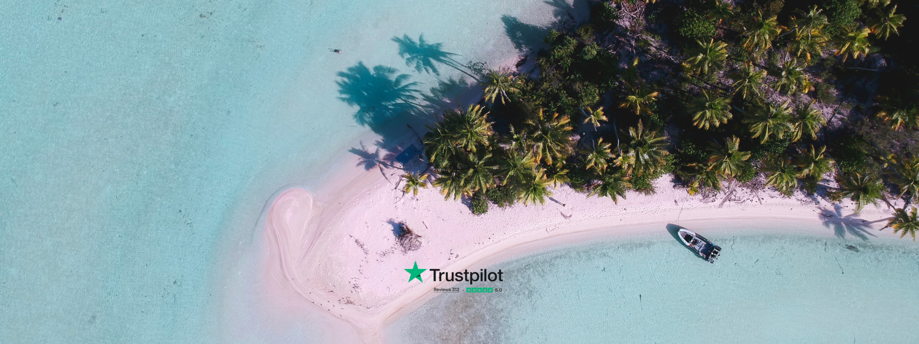 Art In Voyage Reviews by TrustPilot - Rated 5