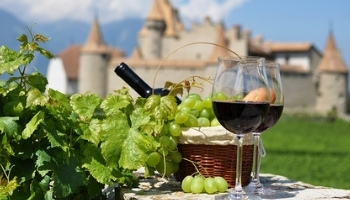 Côte de Nuits & Marsannay Burgundy Wine Tour | Art In Voyage