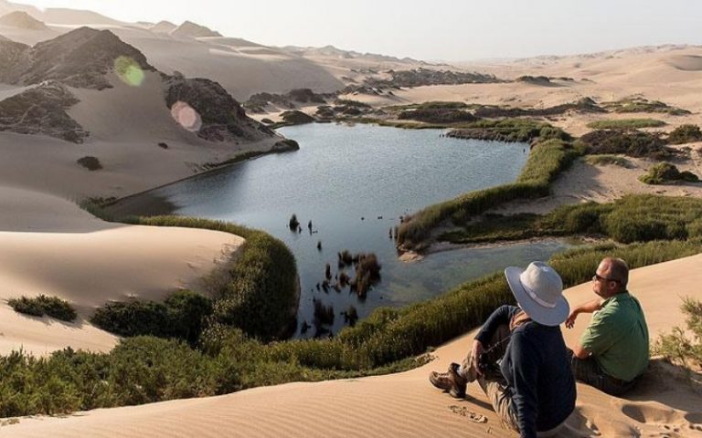 exclusive wildlife photography safari by Art In Voyage