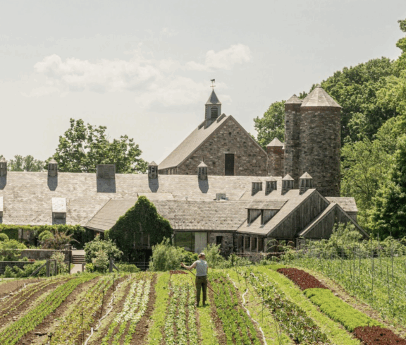 From farm fields to gilded mansions