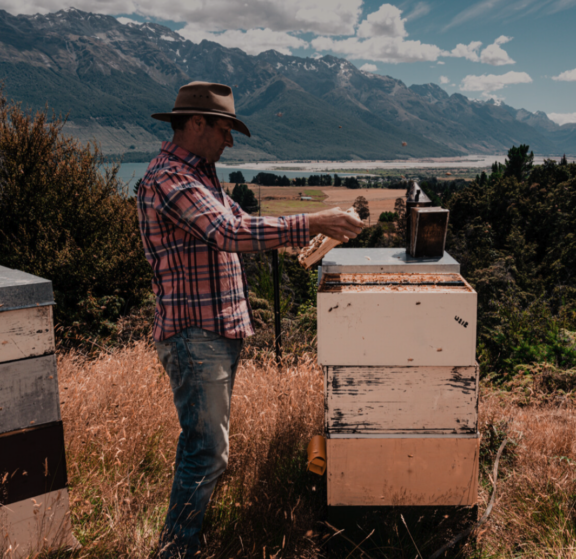 Glenorchy, Full of Life