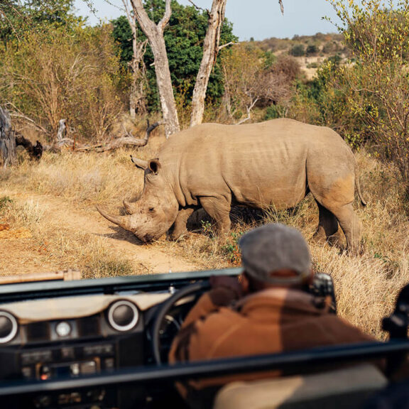 Final Day of the African Safari