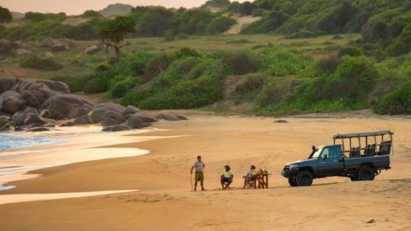 Yala National Park Safari
