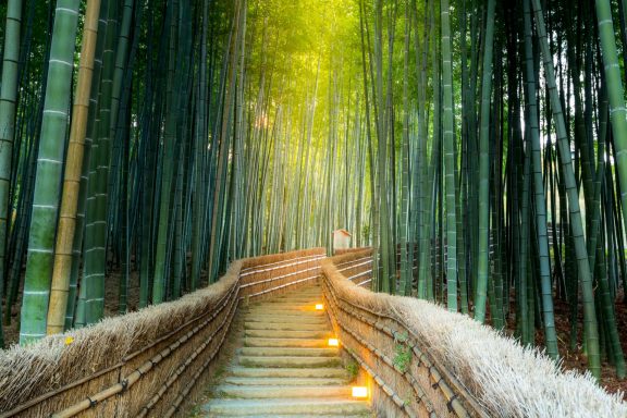 Day trip to Arashiyama