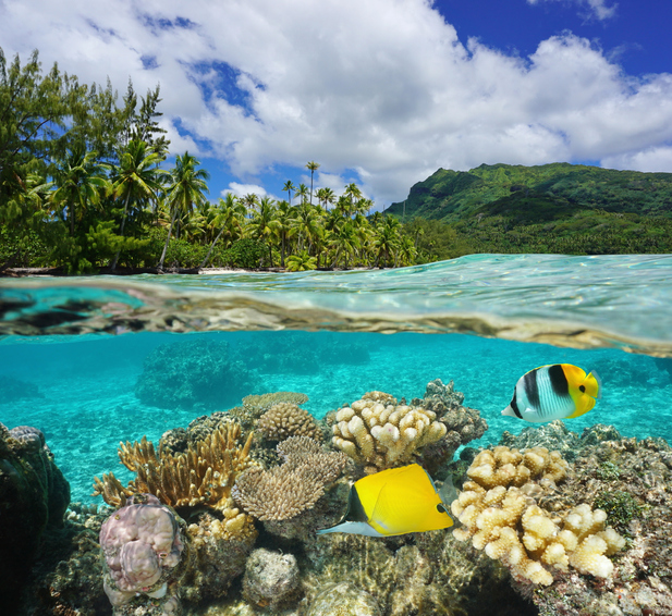 French Polynesia, by Art In Voyage