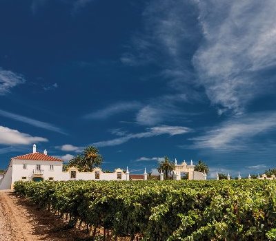 Alentejo Farm & Wine Day