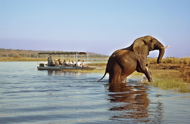 Luxury Botswana Experiences by Art In Voyage