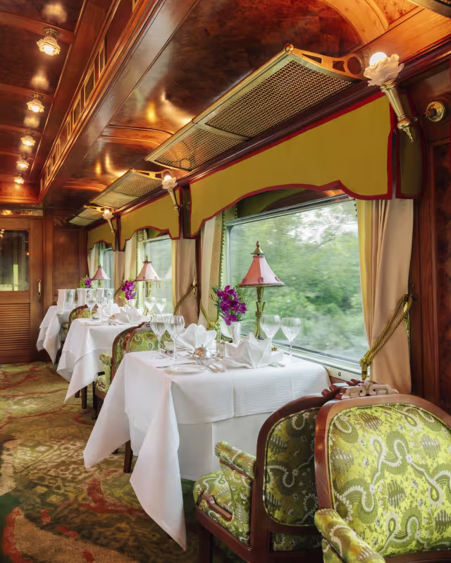 Art in Voyage