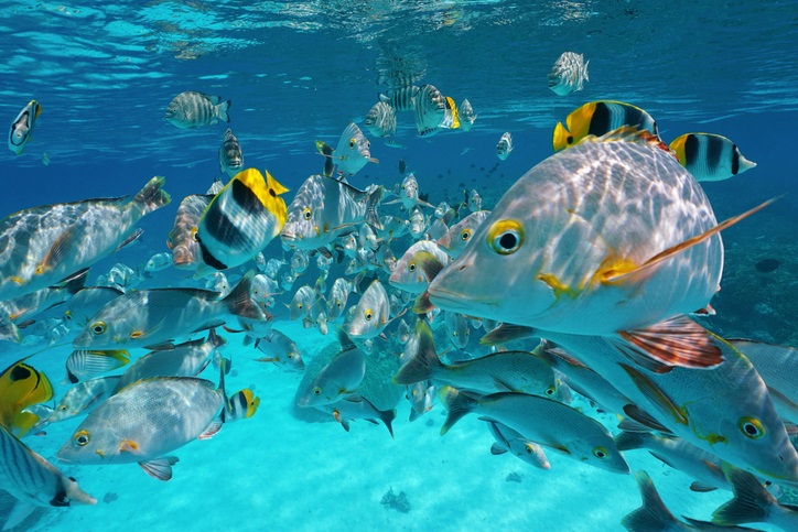 Hidden secrets of French Polynesia, by Art In Voyage