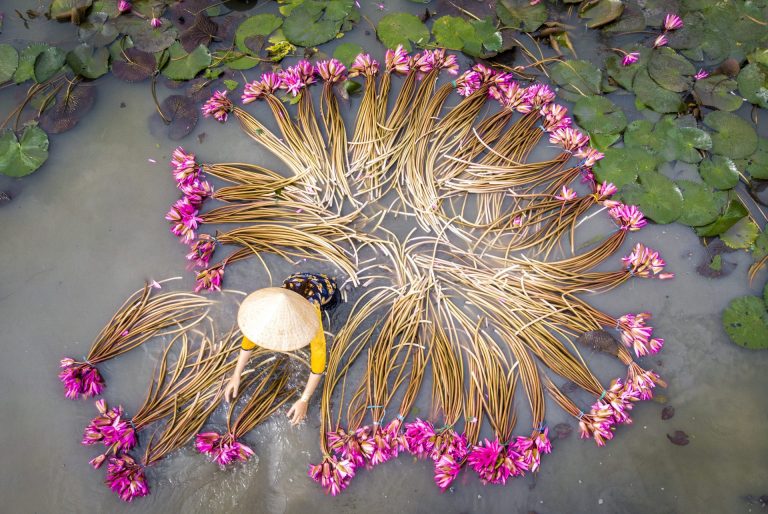 Luxury Southeast Asia By Art In Voyage