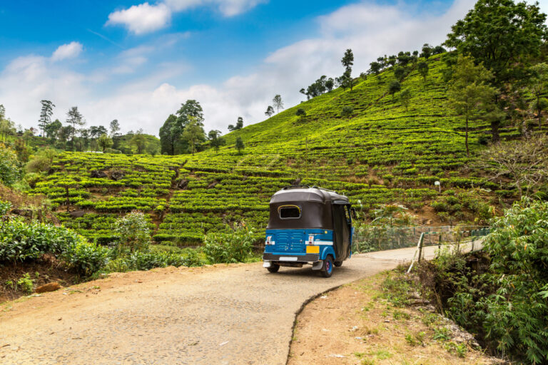 Sri Lanka By Art In Voyage