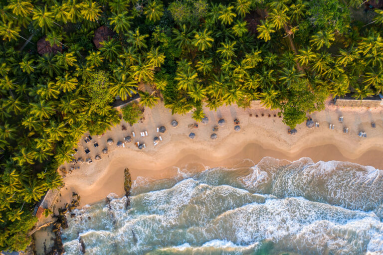 Sri Lanka By Art In Voyage