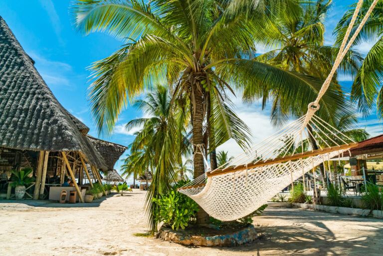 Zanzibar By Art In Voyage