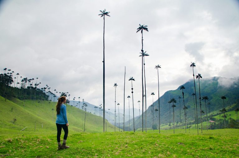 Colombia By Art In Voyage