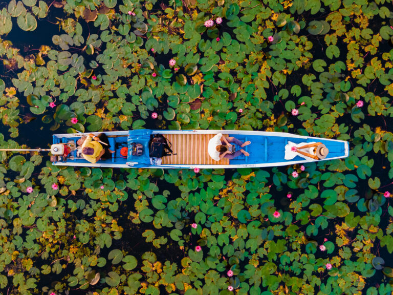 Red Lotus Lake, Thailand, By Art In Voyage