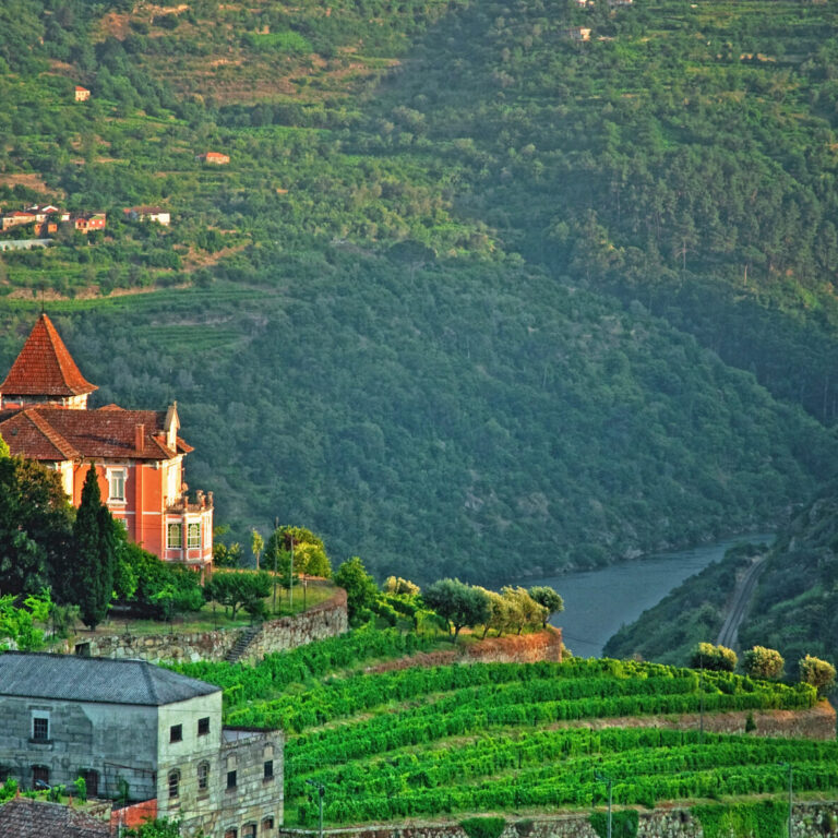 Douro Valley in Portugal By Art In Voyage