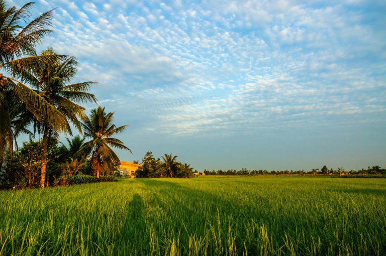 Luxury Southeast Asia By Art In Voyage