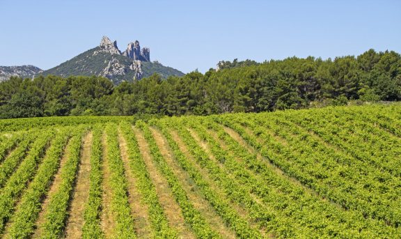 Chateauneuf du Pape & Gigondas