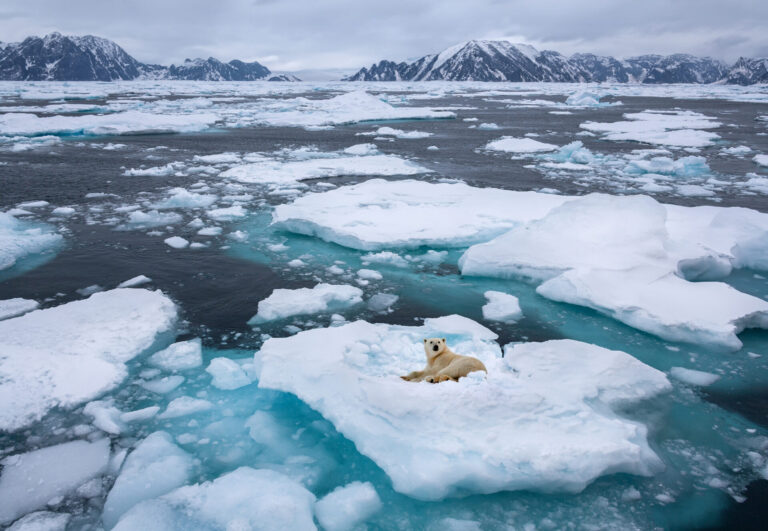 Greenland By Art In Voyage