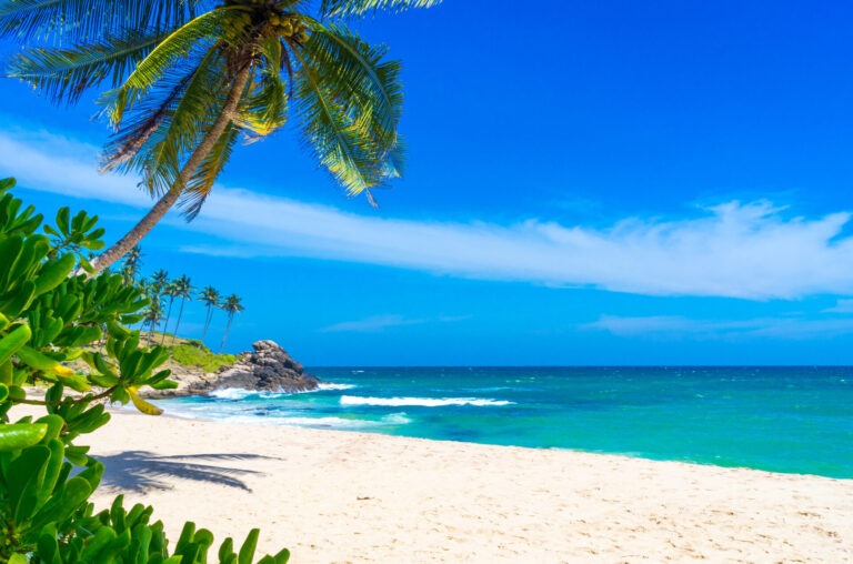 Sri Lanka By Art In Voyage