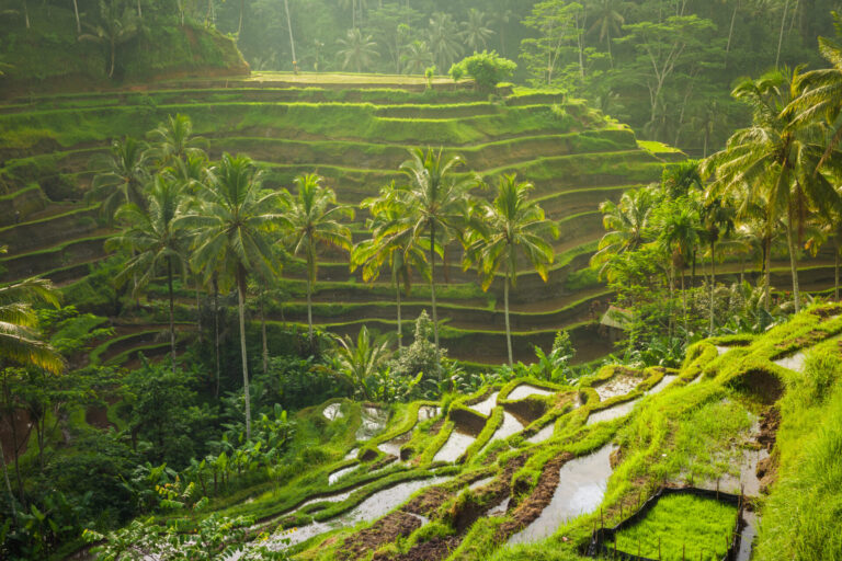 Bali By Art In Voyage