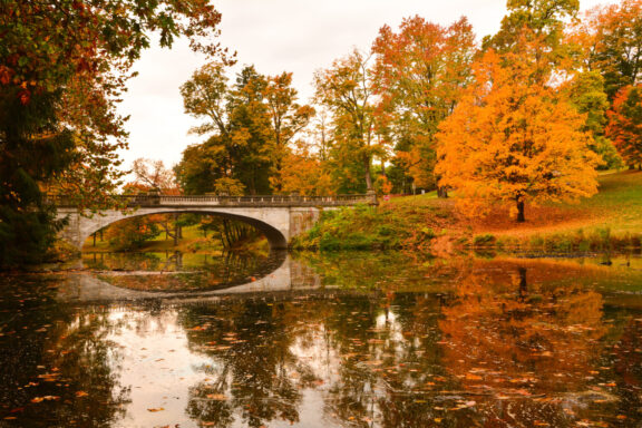 Fall colors in Vanderbilt mansion, Hyde Park, NY, USA.