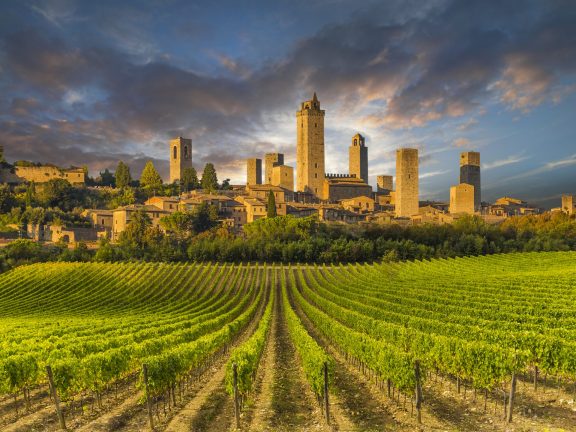 Divine Chianti wine