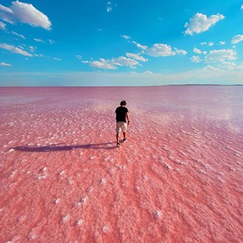 Beyond Travel with Art in Voyage