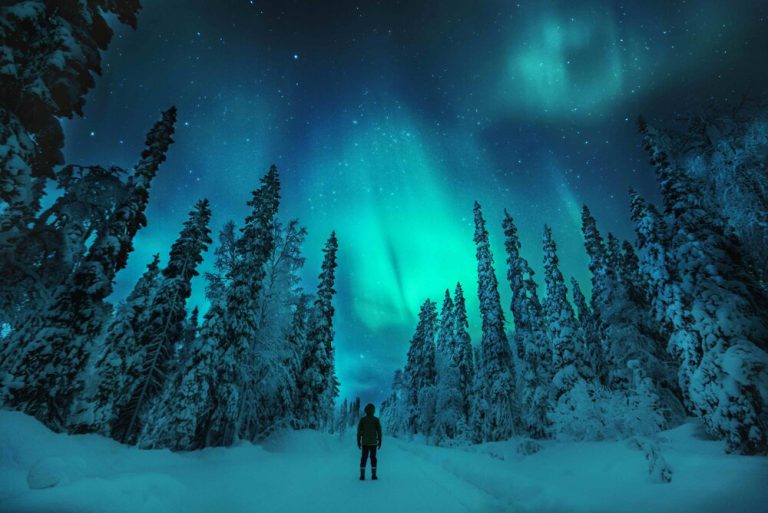 Lapland, with Art In Voyage