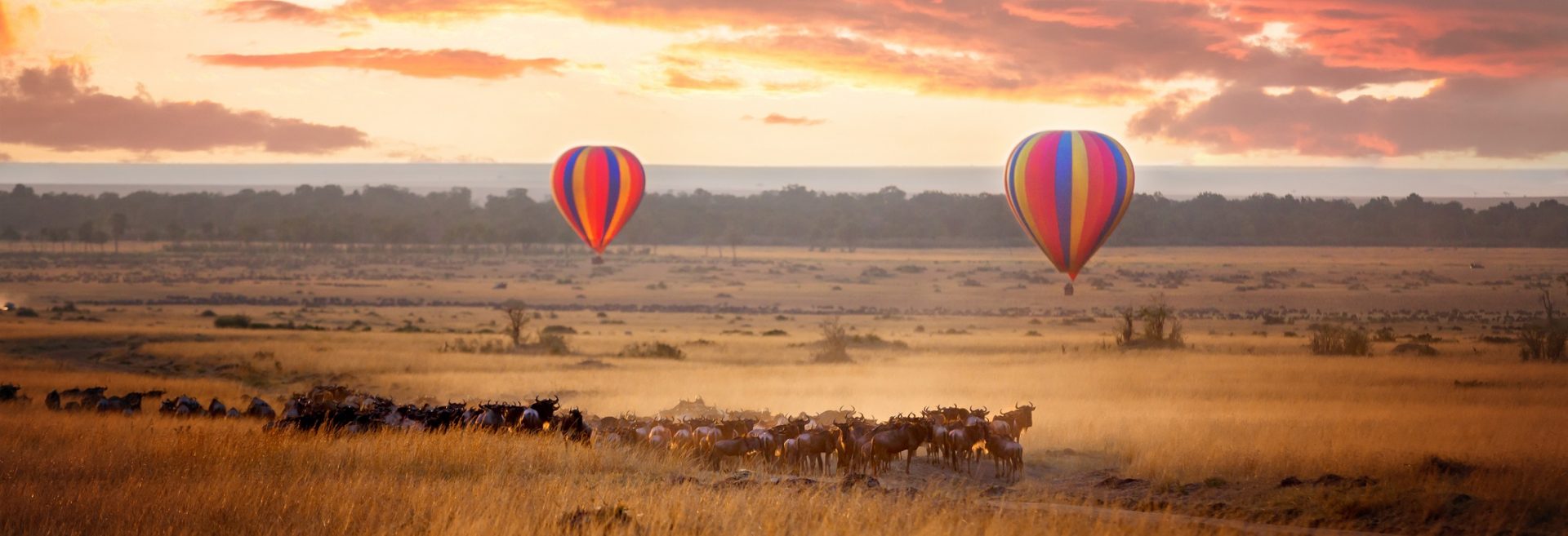 Our Africa, by Art In Voyage