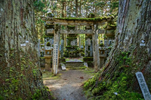 Zen experience in Koya San