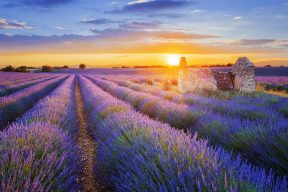 Provence, France By Art In Voyage