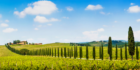 A TASTE OF TUSCANY