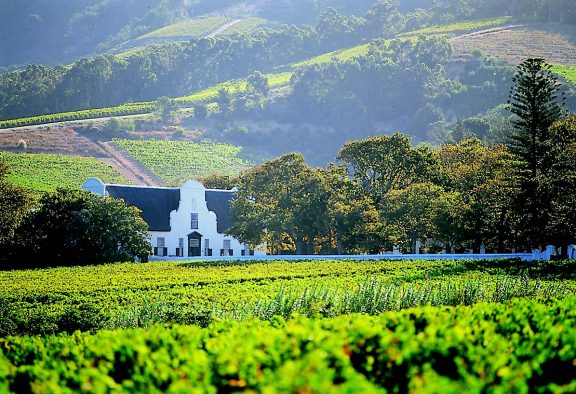 The Cape Winelands